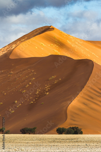 Amazing sand dunes from Namib desert in Namibia