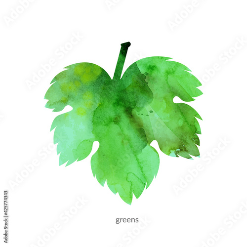 Watercolor abstract grapes leave.