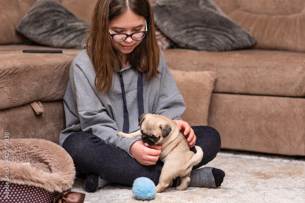A girl with long hair in glasses sits on a carpet and plays with a pug puppy