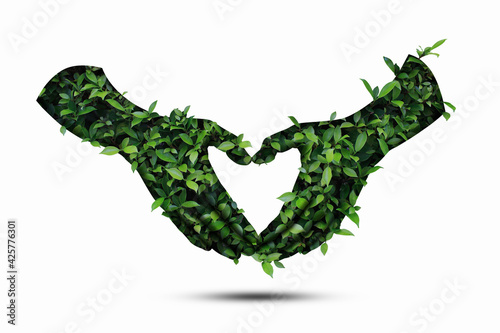Obraz na plátně Double exposure of human hands with leaves of plant isolated on white background
