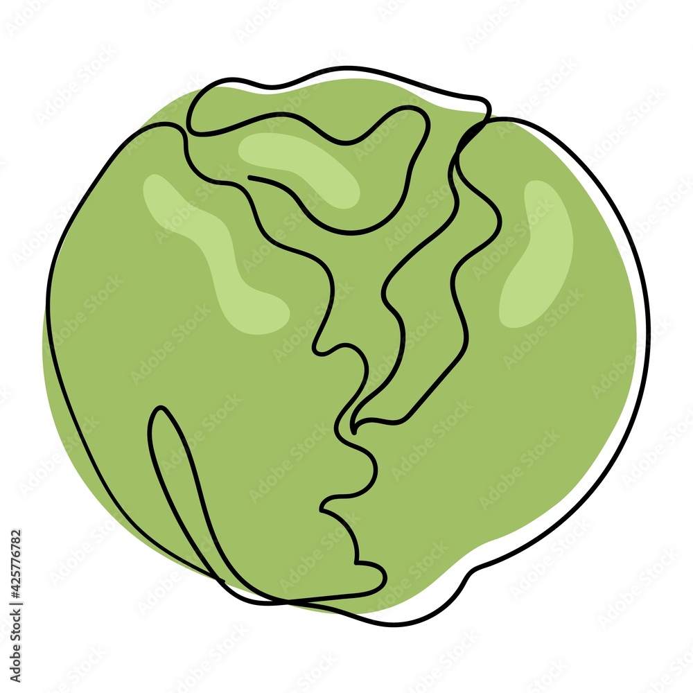 White cabbage is drawn by one continuous line. A healthy vegetable. The object is drawn with a single line in the doodle style. Farm market product. One continuous single drawn line art doodle food White cabbage is drawn by one continuous line. A healthy vegetable. The object is drawn with a single line in the doodle style. Farm market product. One continuous single drawn line art doodle food