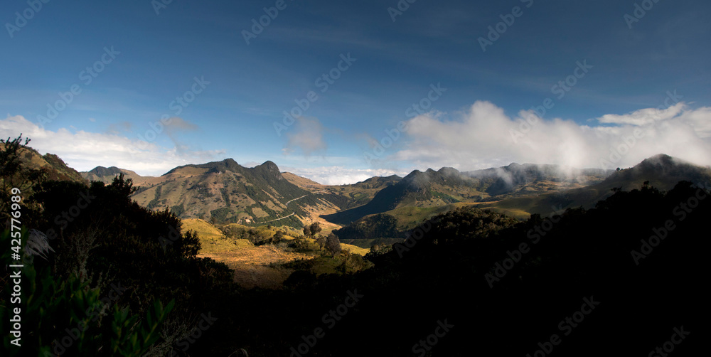 Los Nevados Natural Park, páramo, Central Andes, Colombia.