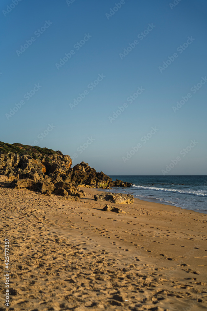 Vertical shot of a rocky seashore
Vertical shot of a rocky seashore