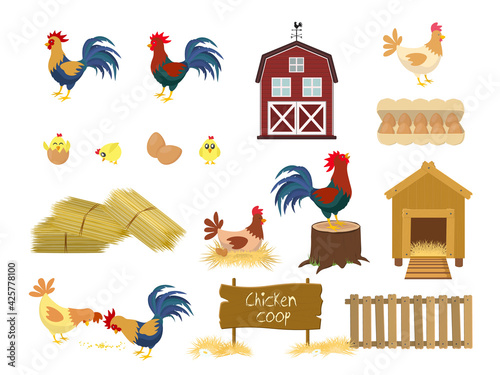 Chicken coop set. Chickens farm birds isolated set walking with baby chickens