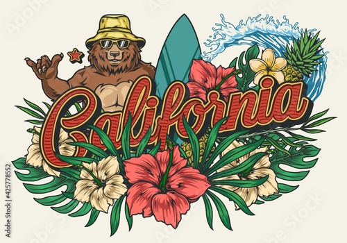 California surfing vintage colorful emblem