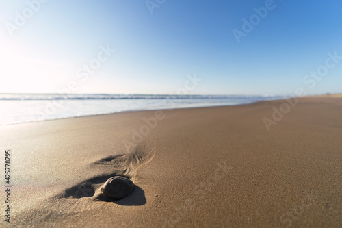 Piedra colocada en la arena con el atardecer y la playa de fondo