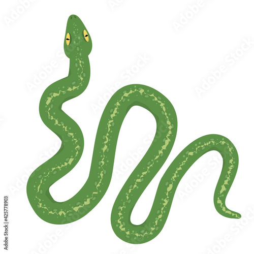 vector illustration of a green snake isolated on a white background