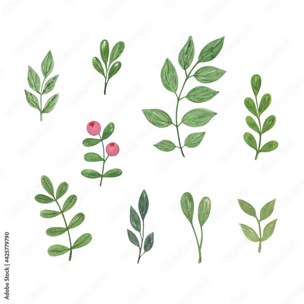 Watercolor simple green leaves set, hand drawn botanical floral illustration for any design purposes can be used for different design purposes, greeting cards, invitations, wedding decor, menu, banner Watercolor simple green leaves set, hand drawn botanical floral illustration for any design purposes can be used for different design purposes, greeting cards, invitations, wedding decor, menu, banner