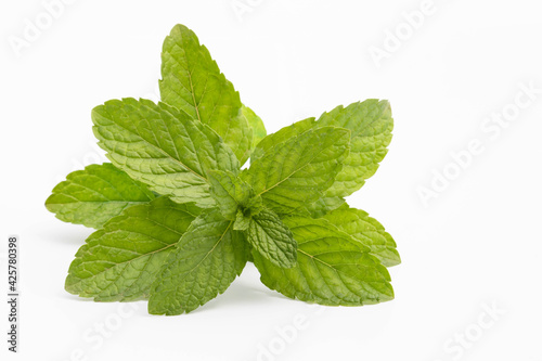 Garden Fresh Green Mint Leaves Desi Taja Pudina Ke Taza Hare Patte Laying Down On Floor. Isolated On White Background With Copy Space For Text