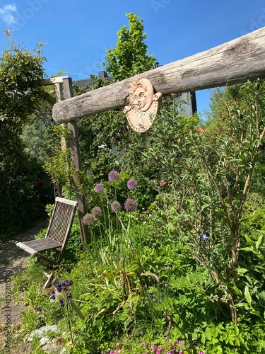 wooden bench in the garden