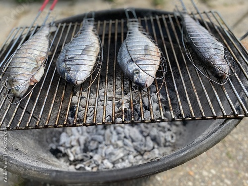 grilled fish on the grill