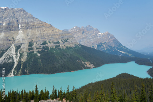 peyto lake in canadian rockies