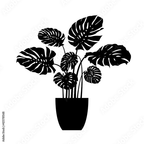 monstera the potted plant vector silhouette.