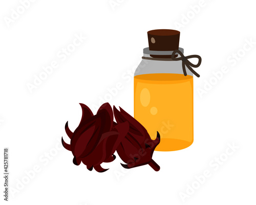 Roselle oil and fresh Roselle flower ( Jamaica sorrel, Rozelle or hibiscus sabdariffa ) isolated on white background. Icon vector illustration.