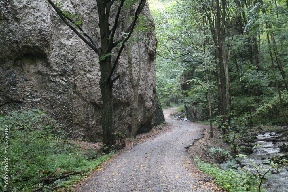 Pathway in canyon of Zadiel valley in eastern Slovakia Pathway in canyon of Zadiel valley in eastern Slovakia