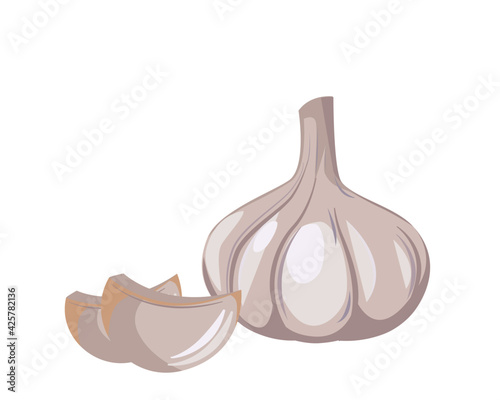 Garlic isolated on white background. Icon vector illustration.