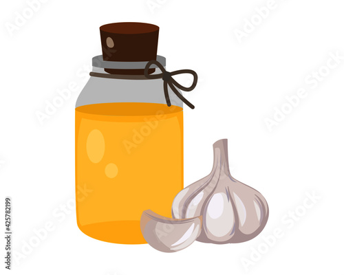Garlic bulb and clove with garlic oil extract in glass bottle isolated on white background.  Icon vector illustration.