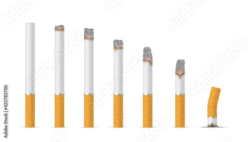 Collection of smoldering cigarettes various length vector fired cigar with filter tobacco smoking