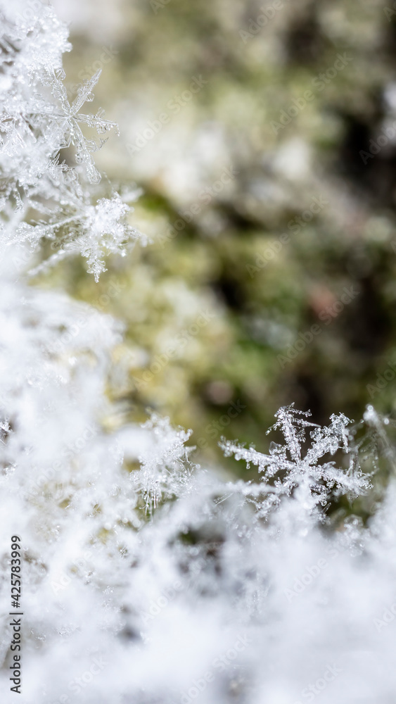 desktop wallpaper, winter photo of snowflakes in the snow desktop wallpaper, winter photo of snowflakes in the snow