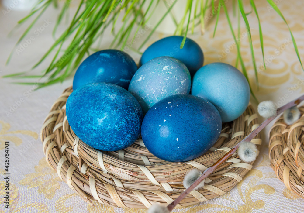 Natural dyed blue colored Easter eggs on the table with willow branch. Happy Easter.