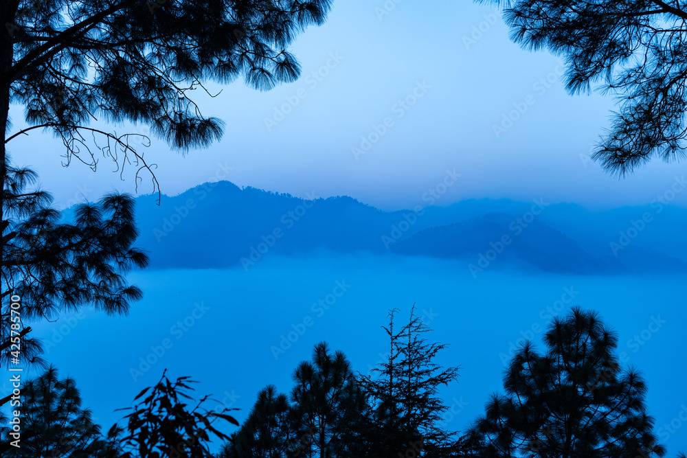 Fototapeta premium A view of mountains and valley covered in early morning fog and mist with trees framing the corners of the image
