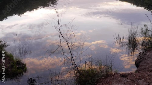 Calm Lake With Reflections Of Blue Sky, Clouds, And Surrounding Vegetation In Naree Budjong Djara National Park, North Stradbroke Island, Queensland, Australia - tilt up shot photo