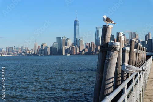 Seagull new york downtown