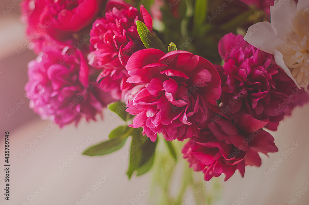 A colorful bouquet of peony flowers in a glass vase close up view. A colorful bouquet of peony flowers in a glass vase close up view.