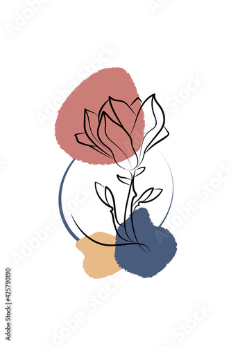 abstract background with linear magnolia
