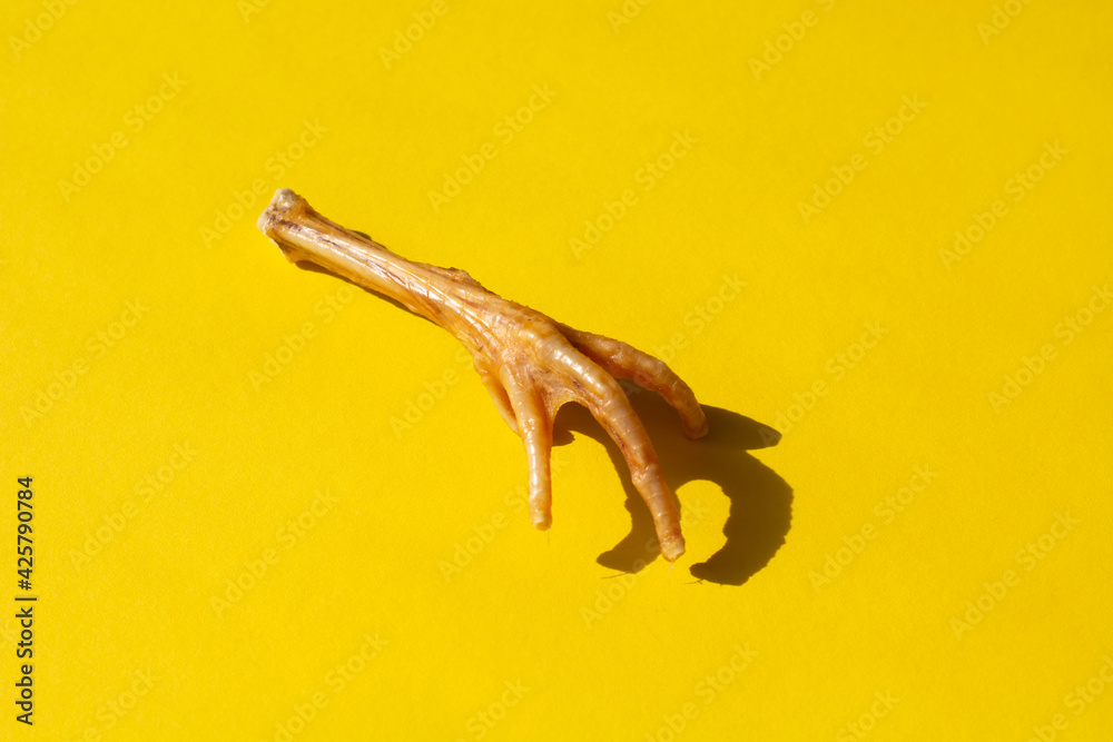 Fototapeta premium one chicken paw with shadow on yellow background