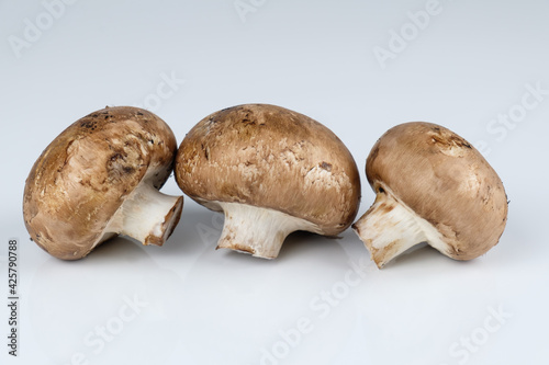 Pilze: Drei Braune Champignons / Zuchtchampignons