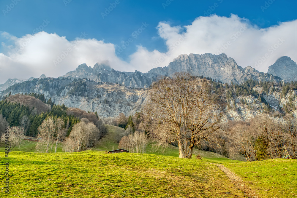 Spring landscape in the Alps with fresh green mountain pastures and mountain tops in the background. Spring landscape. Switzerland, Europe Spring landscape in the Alps with fresh green mountain pastures and mountain tops in the background. Spring landscape. Switzerland, Europe