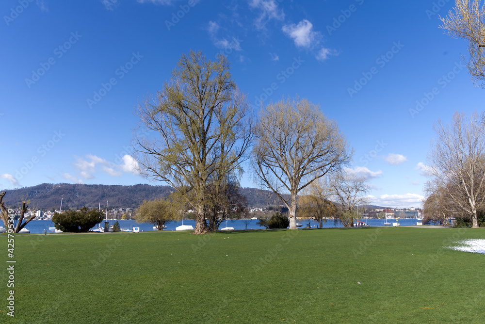 Trees at park at border of lake Zurich. Photo taken April 6th, 2021, Zurich, Switzerland.
