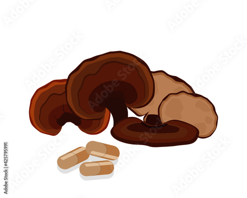 Lingzhi mushroom and capsule on white