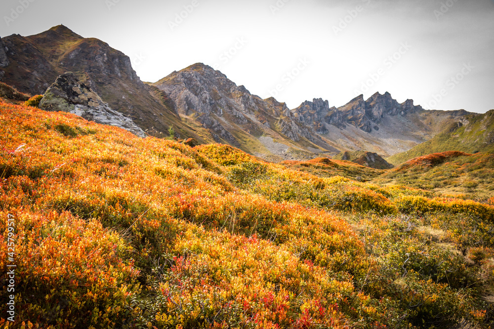 autumn in the austrian mountains, gastein valley, hofgastein, schlossalm, austria, salzburg
