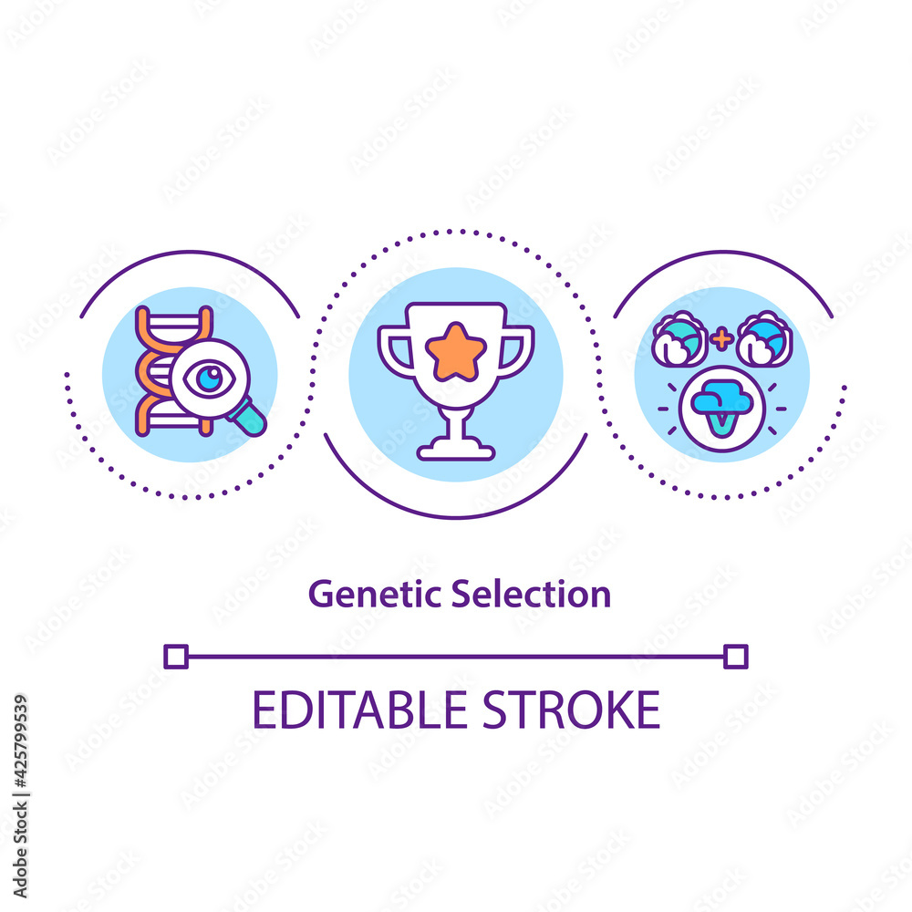 Genetic selection concept icon. Genetic variations idea thin line illustration. Adaptation development. Organisms evolution over generations. Vector isolated outline RGB color drawing. Editable stroke