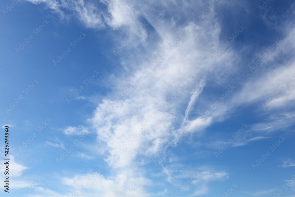 東京の冬空(1月) 東京の冬空(1月)