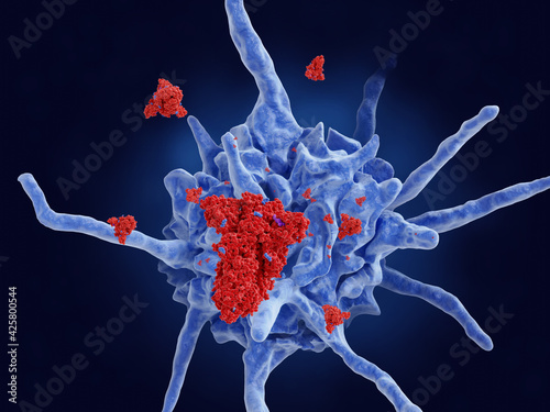 Fotografie COVID-19 vaccine, dendritic cell targets stabilised spike proteins