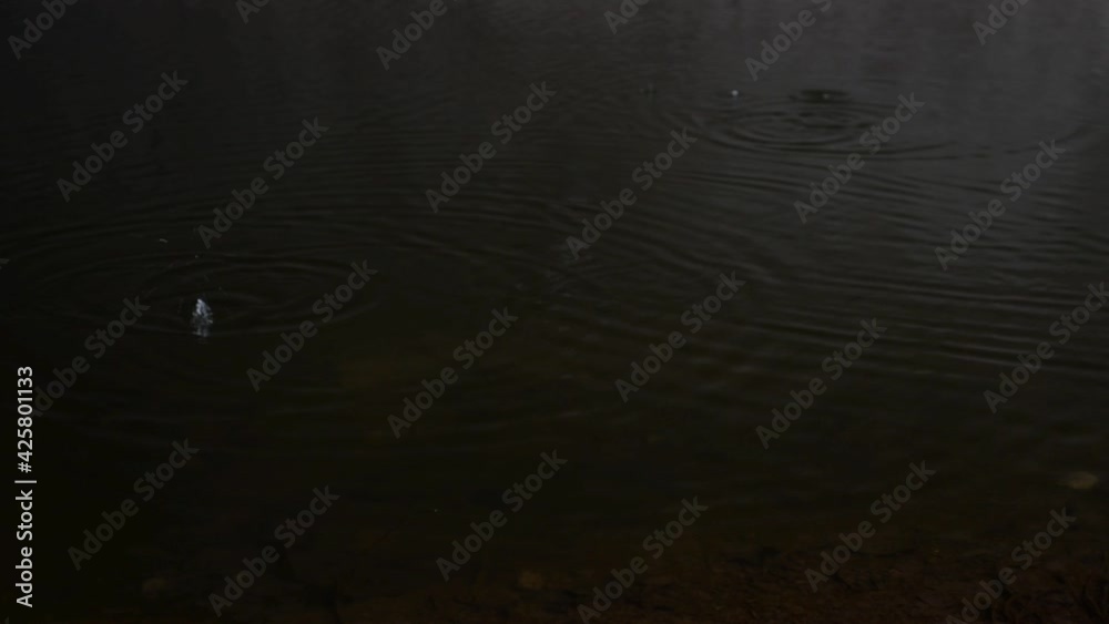 raindrops on the water of a dirty river against the background of trees in early spring raindrops on the water of a dirty river against the background of trees in early spring