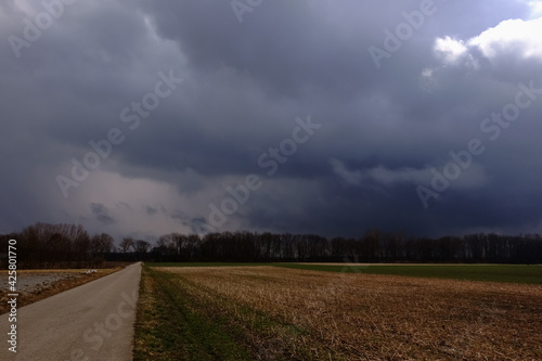 dirt road with fields and dark rain clouds