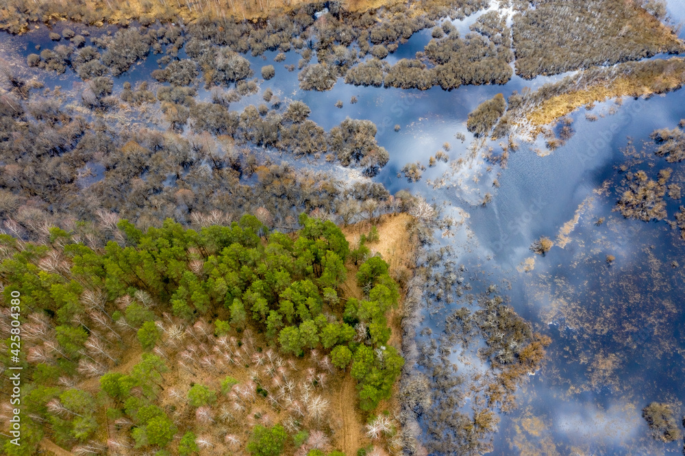 Photo from a drone, a pine forest and the Berezina River that spilled into the floodplain. Bright colors of spring. Photo from a drone, a pine forest and the Berezina River that spilled into the floodplain. Bright colors of spring.