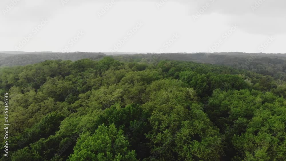 Flying over the forest, field Flying over the forest, field