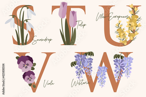 Hand Drawn floral alphabet with spring flowers in pastel colors.Letters S, T, U, V, W with flowers snowdrop, tulip, ulex, viola, wisteria