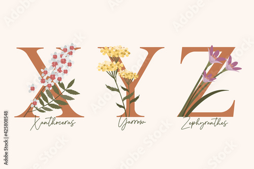 Hand Drawn floral alphabet with spring flowers in pastel colors.Letters X, Y, Z with flowers zephyranthes, yarrow, xanthoceras