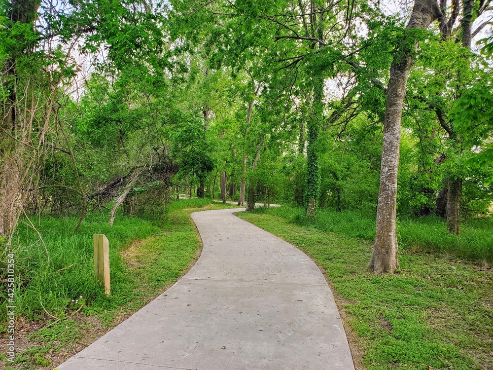 Concrete Nature Path in Texas