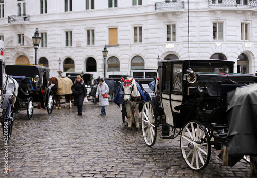 Horse carriage in the city