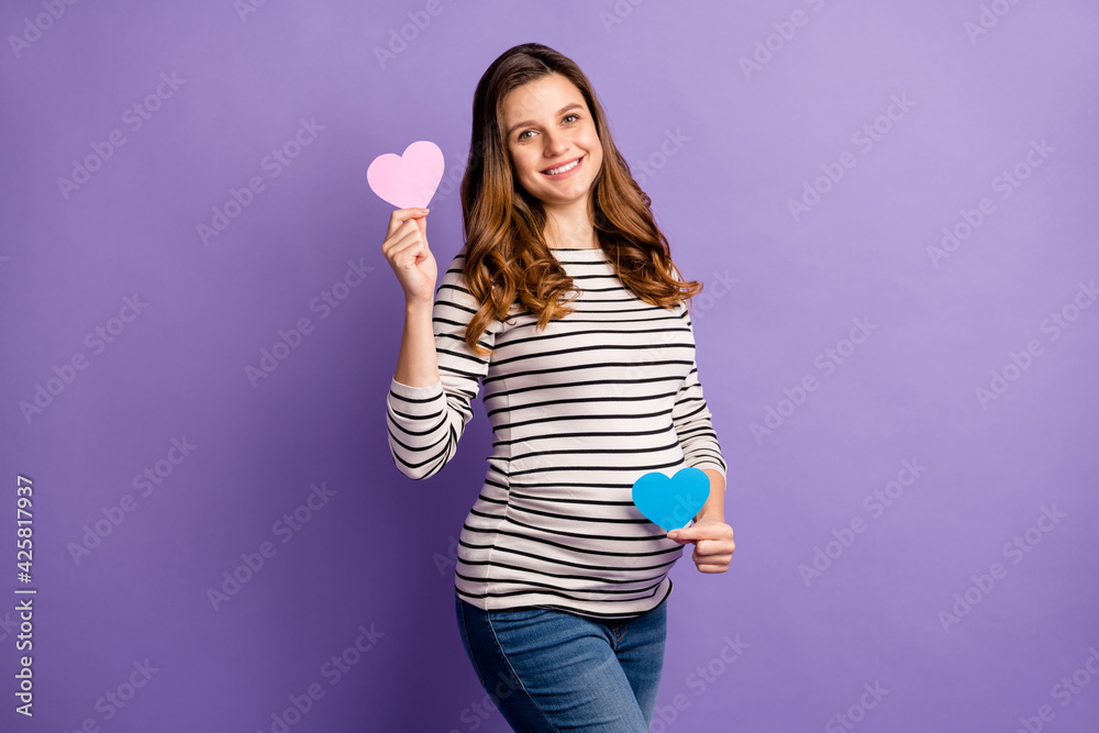 Photo of sweet cute lady waiting baby dressed striped shirt tummy holding pink blue heart guess boy girl isolated violet color background Photo of sweet cute lady waiting baby dressed striped shirt tummy holding pink blue heart guess boy girl isolated violet color background