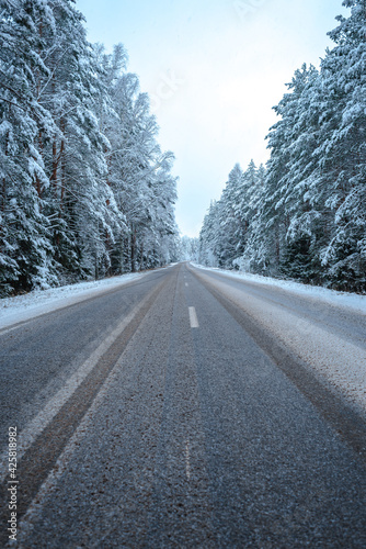 Empty asphalt road in winter through a snowy forest. The road through the winter forest.