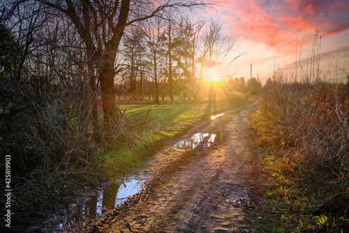 Country Road at sunset