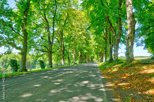 Fontenay Saint Pere, France - april 30 2020 : country road photo